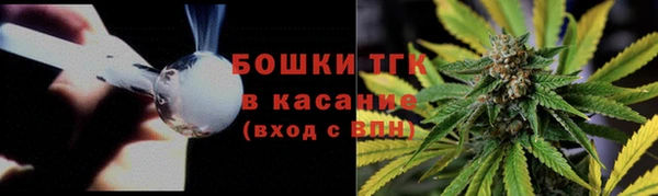 прущие грибы Верея