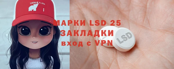 прущие грибы Верея