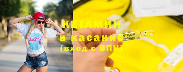 прущие грибы Верея