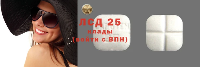 прущие грибы Верея