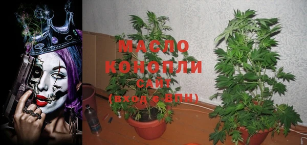 прущие грибы Верея