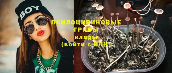 тгк Володарск