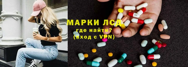 прущие грибы Верея