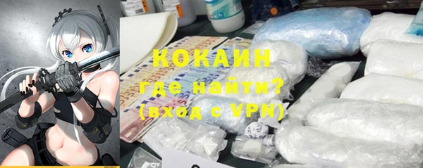 сатива Бронницы