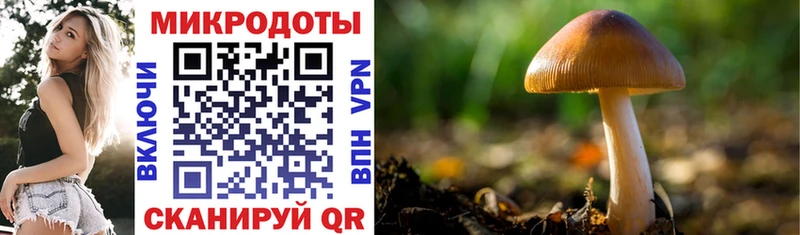 Купить где  Пестово  Галлюциногенные грибы мицелий 